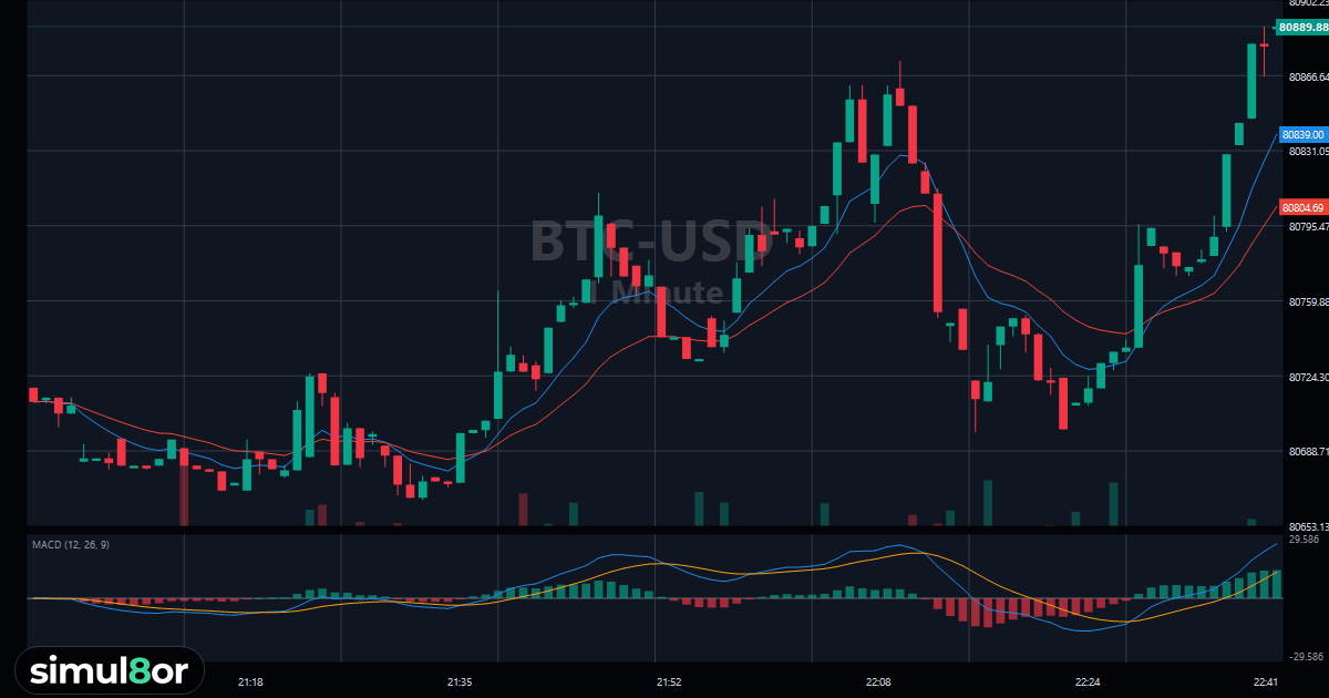 Crypto Trading Simulator with Live Order Book & Level 2 | simul8or